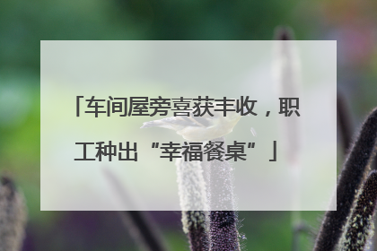 车间屋旁喜获丰收，职工种出“幸福餐桌”