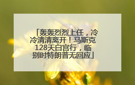 轰轰烈烈上任，冷冷清清离开！马斯克128天白宫行，临别时特朗普无回应
