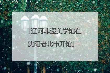 辽河非遗美学馆在沈阳老北市开馆