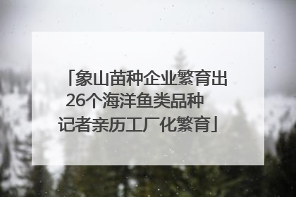 象山苗种企业繁育出26个海洋鱼类品种 记者亲历工厂化繁育