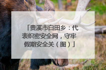 贵溪市白田乡：代表织密安全网，守牢假期安全关（图）
