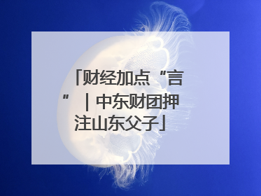 财经加点“言”｜中东财团押注山东父子