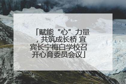 赋能“心”力量，共筑成长桥 宜宾长宁梅白学校召开心育委员会议