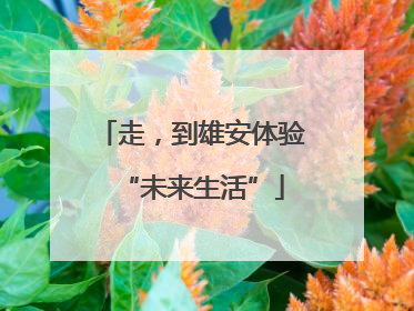 走，到雄安体验“未来生活”