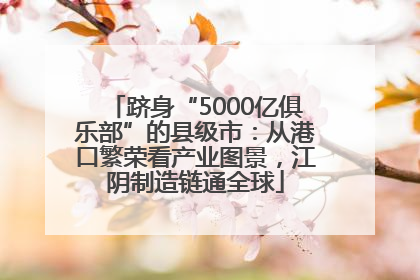 跻身“5000亿俱乐部”的县级市：从港口繁荣看产业图景，江阴制造链通全球