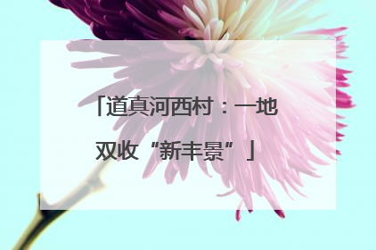 道真河西村：一地双收“新丰景”