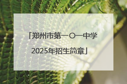 郑州市第一〇一中学2025年招生简章