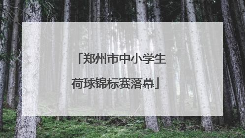 郑州市中小学生荷球锦标赛落幕