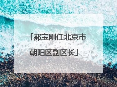 郝宝刚任北京市朝阳区副区长