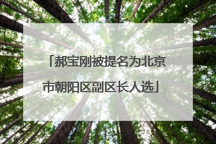 郝宝刚被提名为北京市朝阳区副区长人选