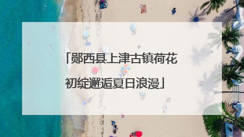 郧西县上津古镇荷花初绽邂逅夏日浪漫