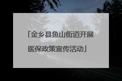 金乡县鱼山街道开展医保政策宣传活动