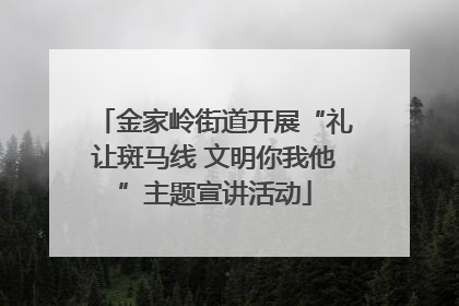金家岭街道开展“礼让斑马线 文明你我他”主题宣讲活动