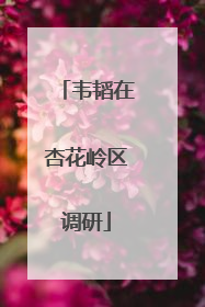 韦韬在杏花岭区调研