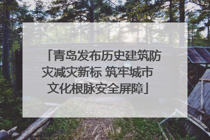 青岛发布历史建筑防灾减灾新标 筑牢城市文化根脉安全屏障