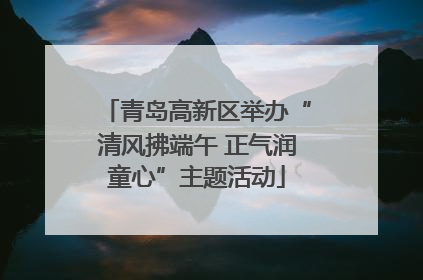 青岛高新区举办“清风拂端午 正气润童心”主题活动