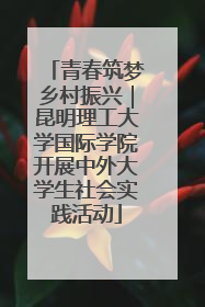 青春筑梦乡村振兴｜昆明理工大学国际学院开展中外大学生社会实践活动