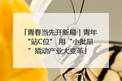 青春当先开新局｜青年“站C位” 用“小批量”撬动产业大变革