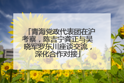 青海党政代表团在沪考察，陈吉宁龚正与吴晓军罗东川座谈交流，深化合作对接