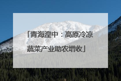 青海湟中：高原冷凉蔬菜产业助农增收