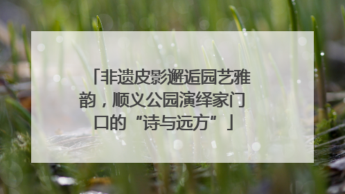 非遗皮影邂逅园艺雅韵，顺义公园演绎家门口的“诗与远方”