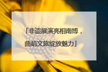 非遗展演亮相南博，曲靖文旅绽放魅力