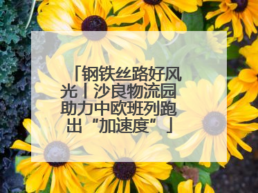 钢铁丝路好风光丨沙良物流园助力中欧班列跑出“加速度”