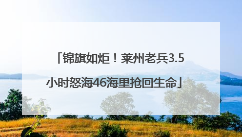 锦旗如炬！莱州老兵3.5小时怒海46海里抢回生命