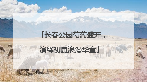 长春公园芍药盛开，演绎初夏浪漫华章