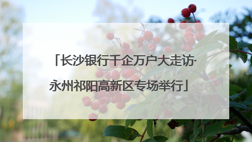 长沙银行千企万户大走访·永州祁阳高新区专场举行