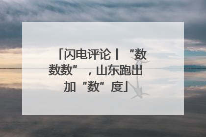 闪电评论丨“数数数”，山东跑出加“数”度