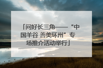问好长三角——“中国羊谷 善美环州”专场推介活动举行