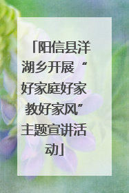 阳信县洋湖乡开展“好家庭好家教好家风”主题宣讲活动