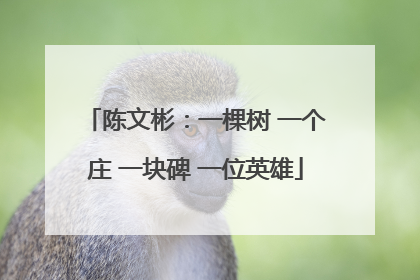 陈文彬：一棵树 一个庄 一块碑 一位英雄