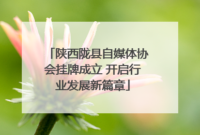 陕西陇县自媒体协会挂牌成立 开启行业发展新篇章