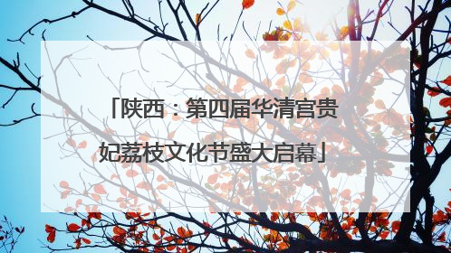 陕西：第四届华清宫贵妃荔枝文化节盛大启幕