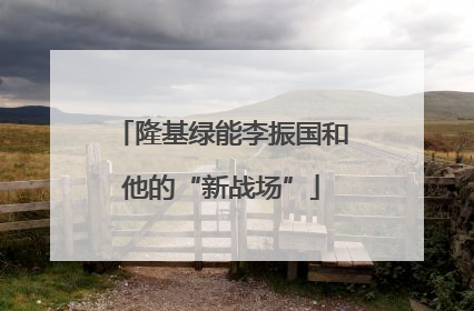 隆基绿能李振国和他的“新战场”