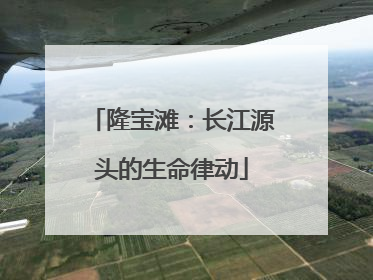 隆宝滩：长江源头的生命律动