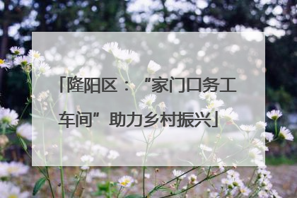 隆阳区：“家门口务工车间”助力乡村振兴