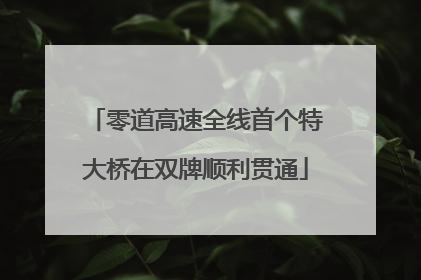 零道高速全线首个特大桥在双牌顺利贯通