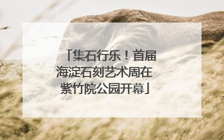 集石行乐！首届海淀石刻艺术周在紫竹院公园开幕