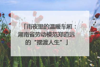 雨夜里的温暖车厢：湖南省劳动模范郑道远的“摆渡人生”