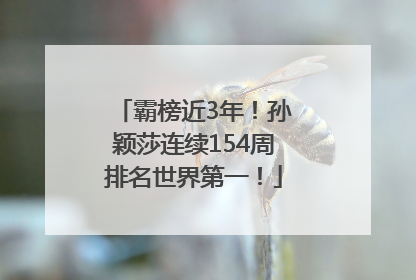 霸榜近3年！孙颖莎连续154周排名世界第一！