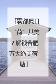 霸都夏日“荷”其美？解锁合肥五大绝美荷塘