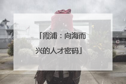 霞浦：向海而兴的人才密码