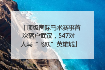 顶级国际马术赛事首次落户武汉，547对人马“飞跃”英雄城
