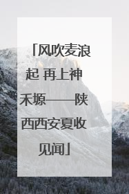 风吹麦浪起 再上神禾塬——陕西西安夏收见闻