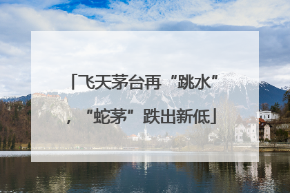 飞天茅台再“跳水”，“蛇茅”跌出新低