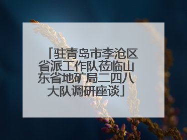 驻青岛市李沧区省派工作队莅临山东省地矿局二四八大队调研座谈