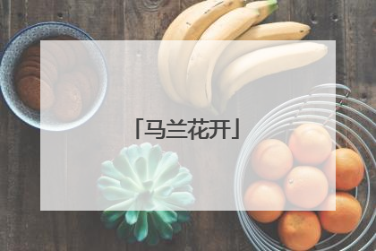 马兰花开